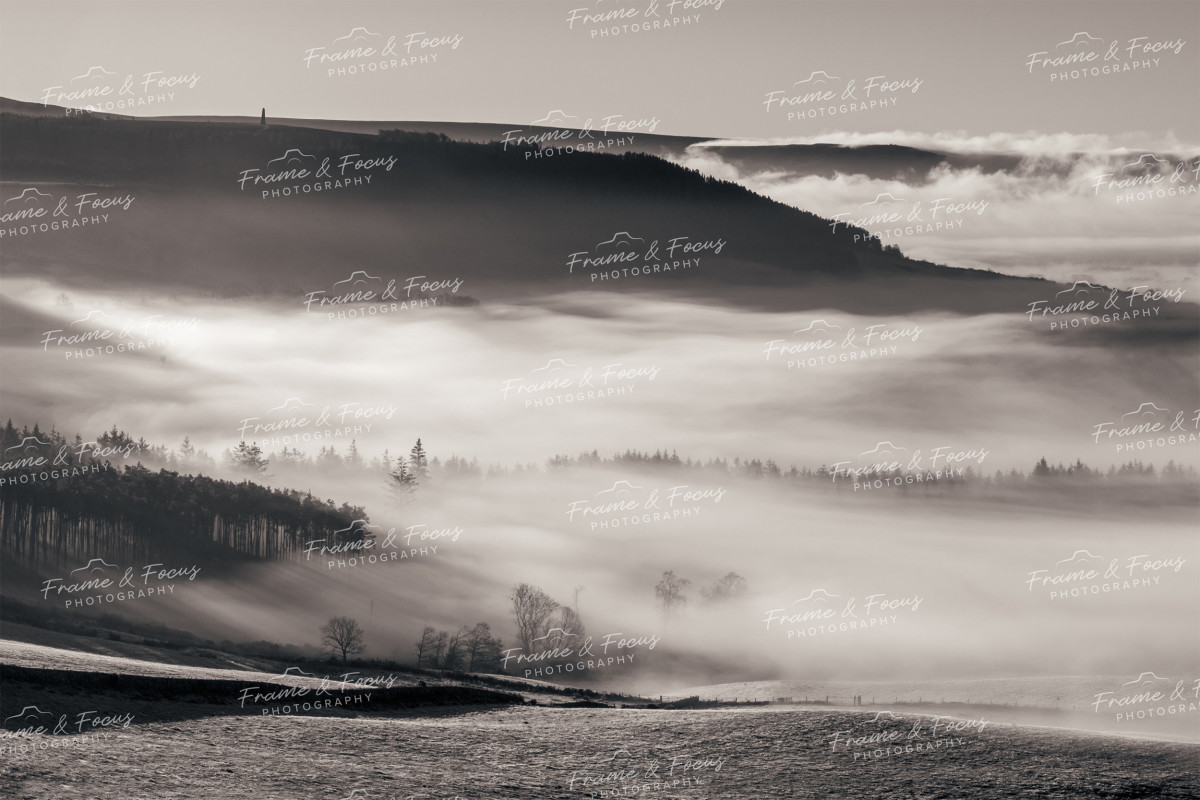 To buy a print or any of the below please click on the images